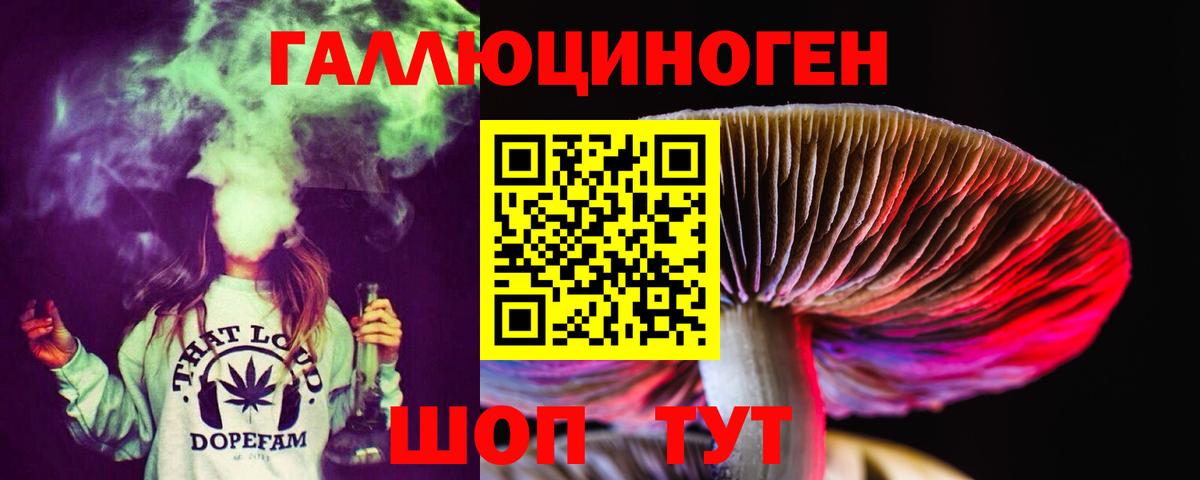 Галлюциногенные грибы Psilocybine cubensis Бийск