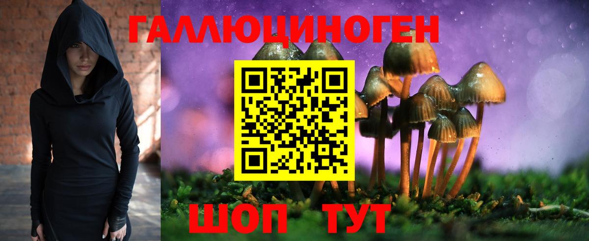 Псилоцибиновые грибы Psilocybe  Вход с VPN  Бийск 